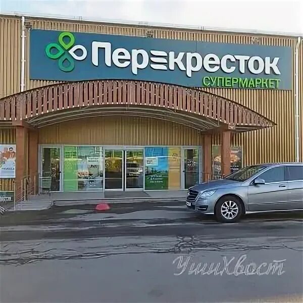 его хвостик летом серый а зимой белый. уши хвост селятино. зоомагазин вывеска. уши хвост алабино. уши хвост селятино.