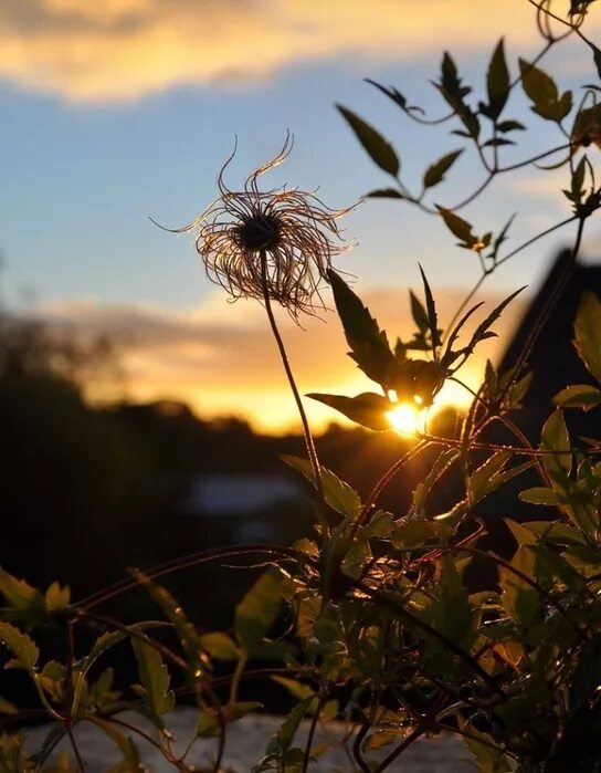 ветер обжигает лицо