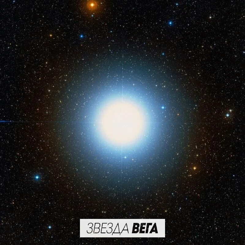 звезда проксима центавра. самая яркая звезда после солнца. звезда вега (α лиры). звезда небесное тело. ярчайшая звезда после солнца.