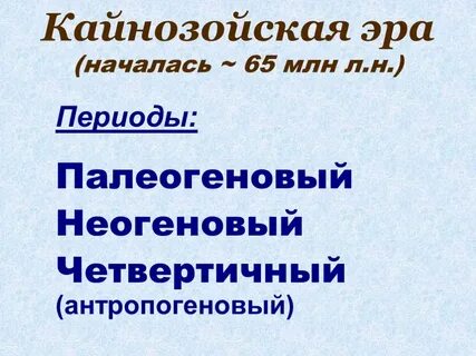 Период кайнозоя сканворд