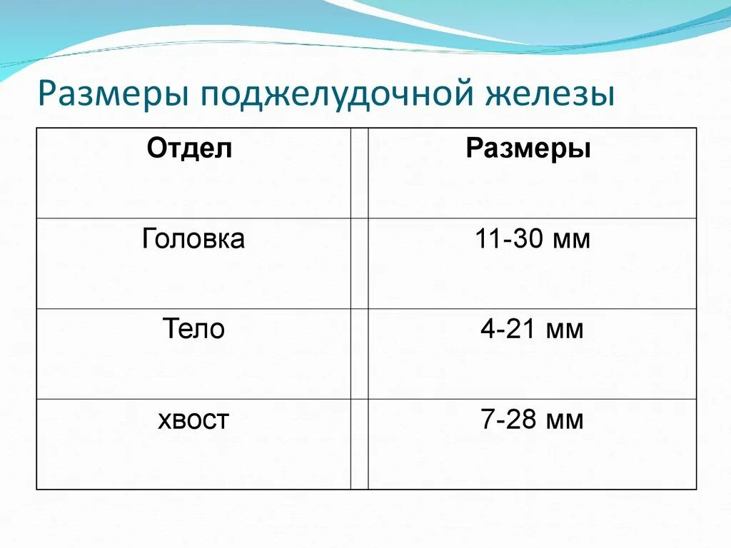 Норма железа у взрослого мужчины. Нормы показателей поджелудочной железы по УЗИ. Параметры поджелудочной железы на УЗИ норма у взрослых. Параметры поджелудочной железы на УЗИ норма. Размер поджелудочной железы норма у взрослого мужчины по УЗИ В мм.