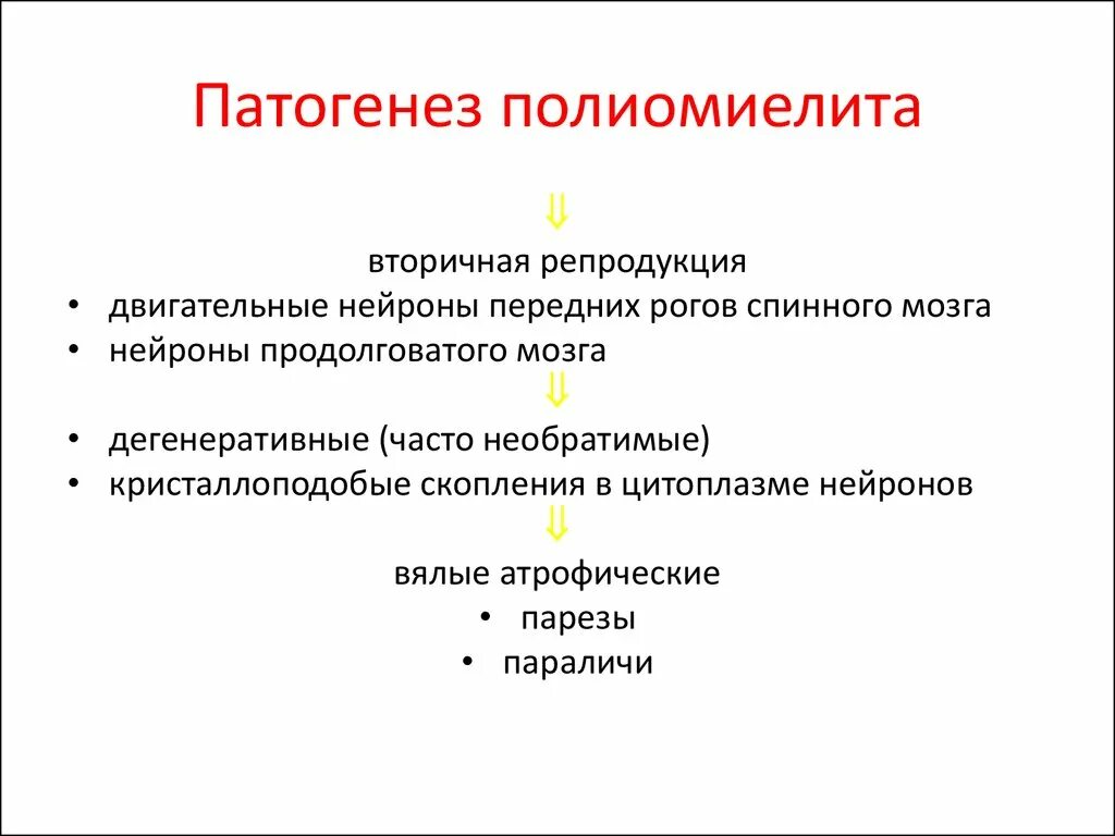 Центр полиомиелита. Патогенез полиомиелита кратко. полиовирус патогенез. возбудитель полиомиелита патогенез. эпидемиология и патогенез полиомиелита.