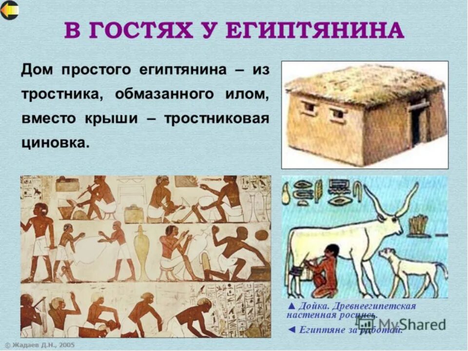 Презентация "как жили земледельцы в Древнем Египте"