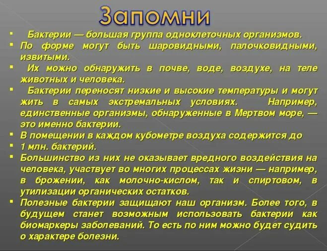 Верное утверждение о бактериях. Доклад про бактерии 2 класс окружающий мир. Доклад о бактериях. Доклад на тему бактерии. Сообщение на тему бактерии.