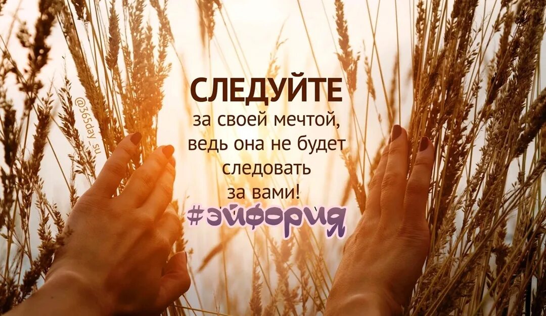 Не оставляйте свои мечты