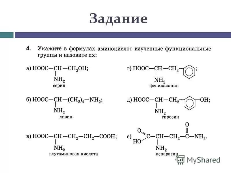 Общая формула аминокислот 10 класс. Аминокислоты и белки химия 10 класс. Аминокислоты задания по химии 10 класс. Аминокислоты белки химия 10 класс конспект. Функциональной группой аминов является