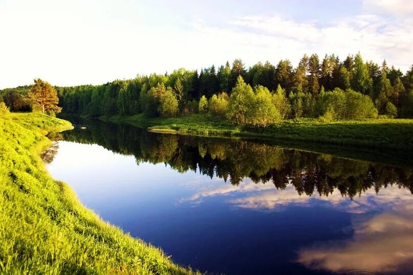 Азлецкий лес. Ламбушка озеро. Харовский лес харовск. Харовский лес. Литературно - туристский маршрут «ljhjuf r ljve.