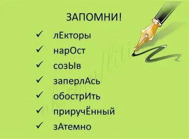 Отзыв ударение