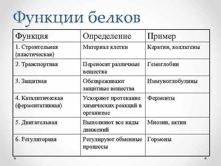Органические вещества клетки -белки.