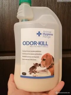 Чем отмыть кошачью мочу
