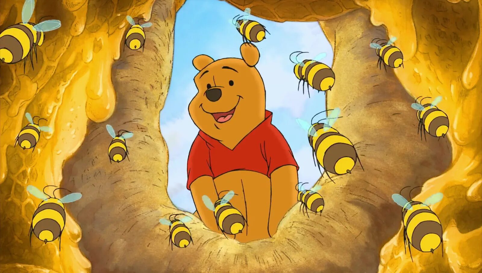 The adventure winnie pooh