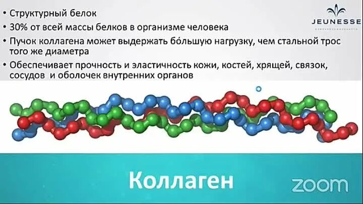 Коллаген в организме человека. Эластин в организме человека. Коллаген строительный белок организма. Коллаген для чего нужен организму. Сколько коллагена надо принимать