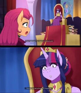 Sunny meet