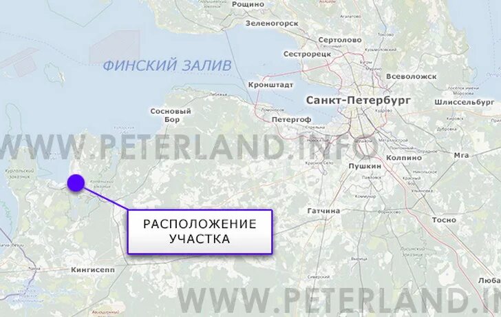 Такси луга санкт петербург. Такси луга санкт петербург
