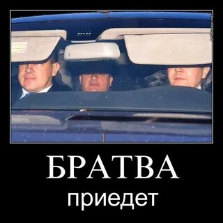 Братка постой куда спешишь