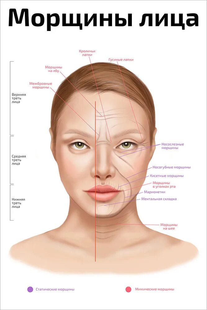 Как выглядят морщины на лице Impressed with the results of her anti-aging cream. Closeup studio portrait of a