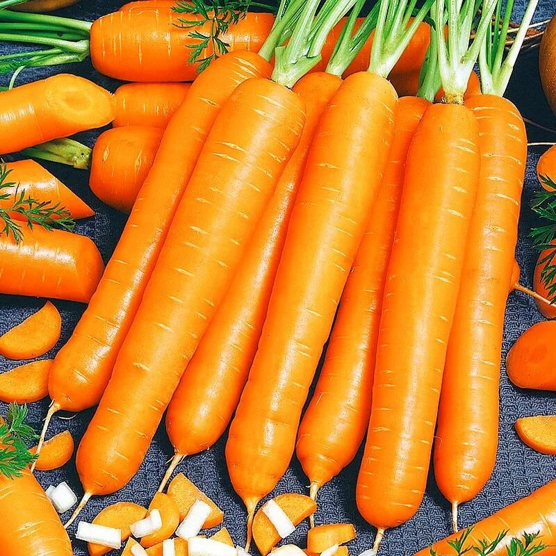 Семена овощей цена. Морковь f1 маэстро. Морковь сорт маэстро. Морковь детская сладость Гавриш. Семена морковь Скорпио f1.