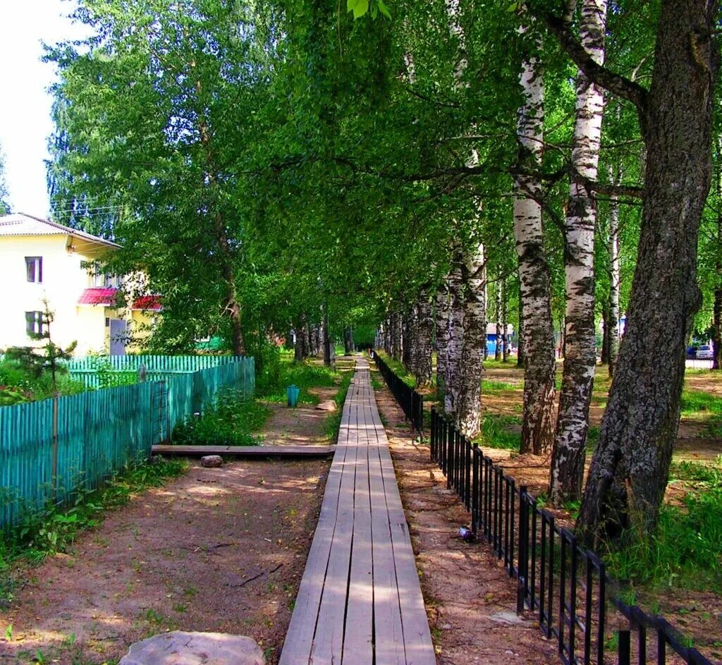 село нюксеница вологодская область. нюксенбург, село нюксеница. нюксеница вологодская область. вологодская область, нюксенский р-н, с. нюксеница вологда.