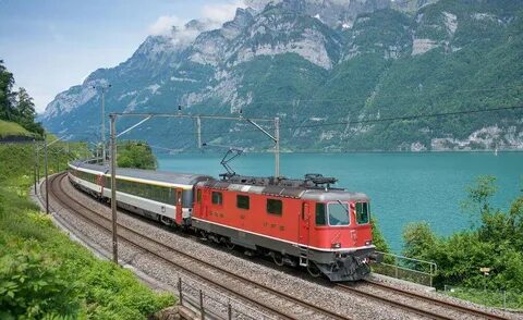 Train sporting