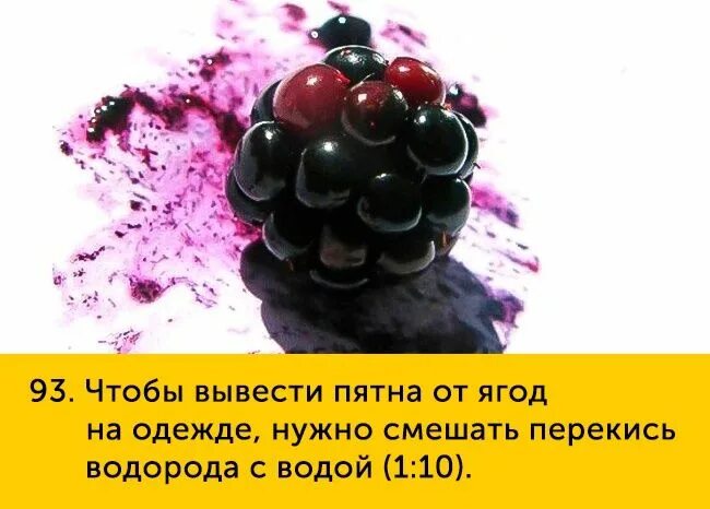 Как отстирать смородину от одежды. Вывести пятно от ягод. пятна от ягод на одежде. вывести пятно от ягод с одежды. отстирать ягодные пятна.
