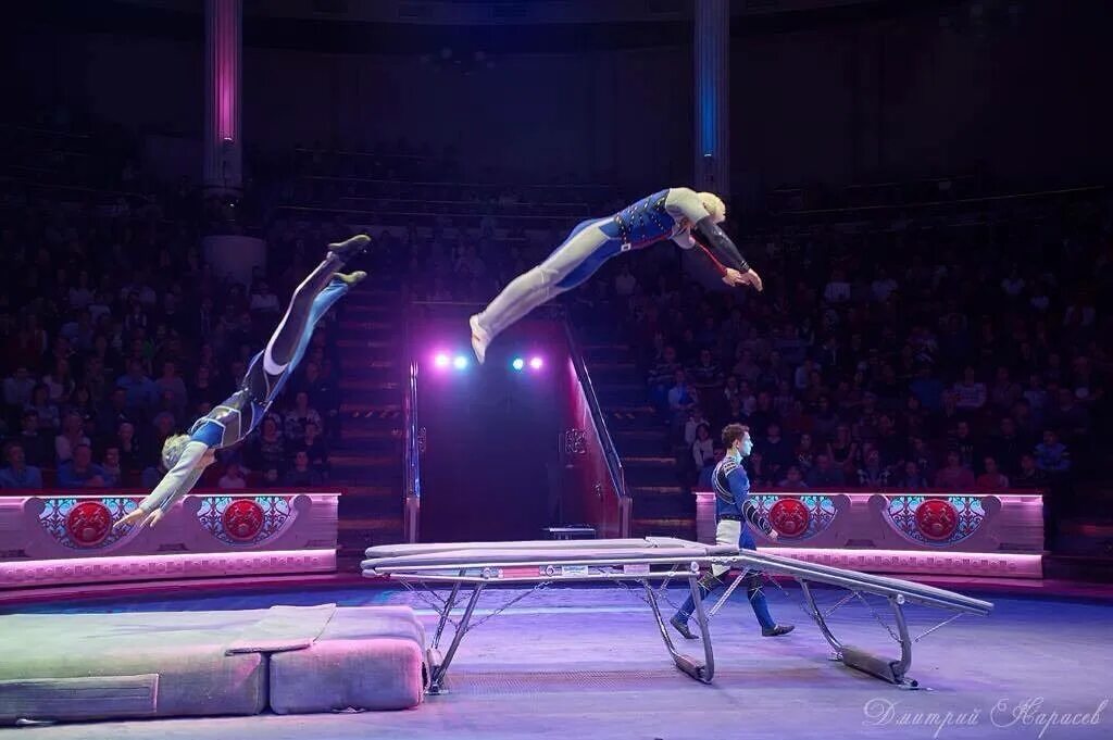 Самарский цирк показательное выступление. В воронежском цирке акробаты. Воздушные гимнасты. Цирк в воронеже акробаты. Эквилибрист канатоходец цирк.