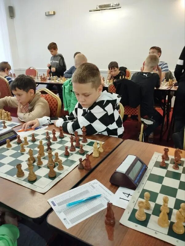 шахматы ярославль