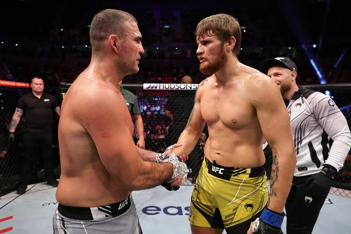 Улберг ufc. Окно результатов боя. Результат боя потеря. Бойцы ufc. Вот средний урон по цвету.