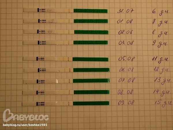Яб после овуляции