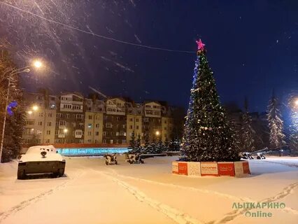 Лыткарино электронная