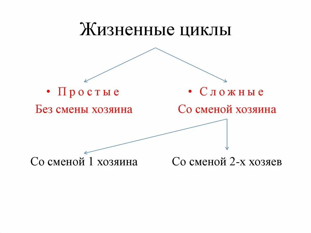 Простой и сложный жизненный цикл. Простой жизненный цикл паразитов. Циклы простейших. Простой жизненный цикл.