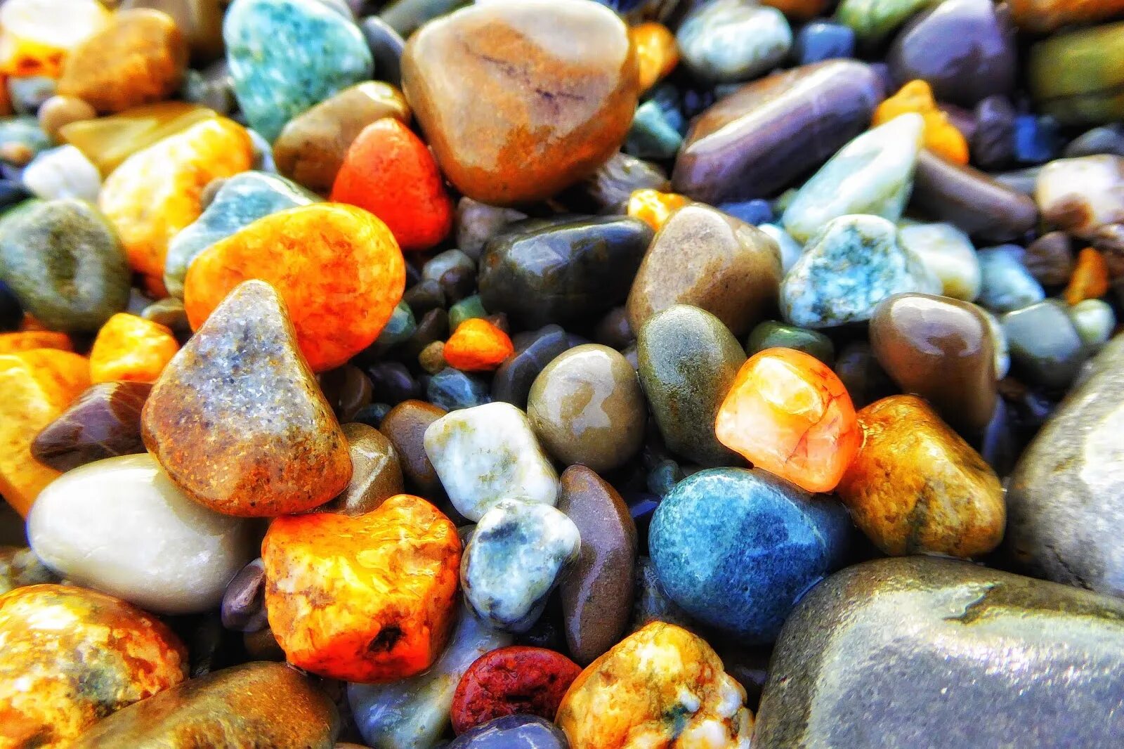 Разнообразие камней. Камни разноцветные морские. Разноцветные камушки. Разноцветная галька. Разноцветные морские гальки.