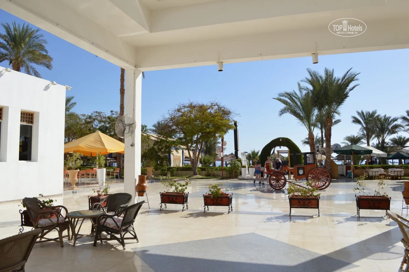 Maritim jolie ville resort casino 5 египет. Египет maritim jolie ville. Maritim jolie ville resort 5 отзывы. Maritim jolie ville resort 5 отзывы. Maritim jolie ville resort фото пляжа.
