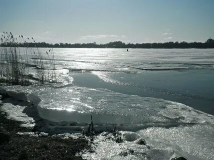 Водоемы в весенний период