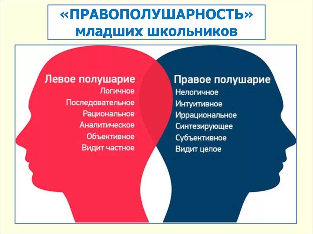 За что отвечает правое полушарие у женщин