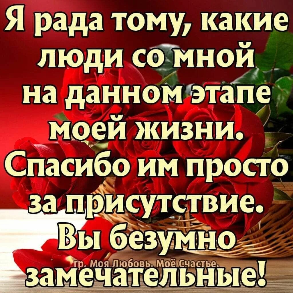 Спасибо за людей в моей жизни. Меня окружают замечательные люди. Статусы про благодарность. Я счастлива меня окружают замечательные люди.