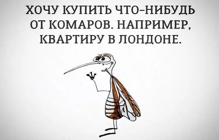 Ищи что нибудь. Ищи что нибудь