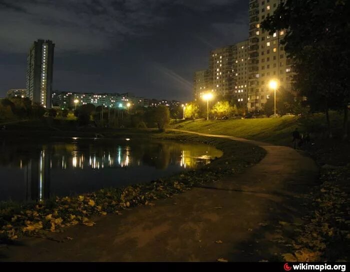 Ясенево вода. Ясенево пруды. Ночной район Москвы Ясенево. Пруды в Ясенево Москва. Ясенево Айвазовского.