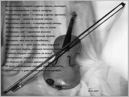 Сердце скрипки