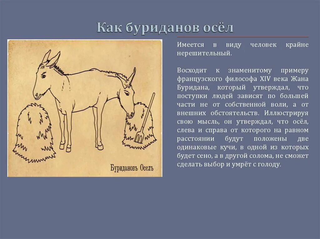 Узбекистан и ослик. Рассказ с ишаками. Родственник осла. Словарь фразеологизмов. Стих про ишака.