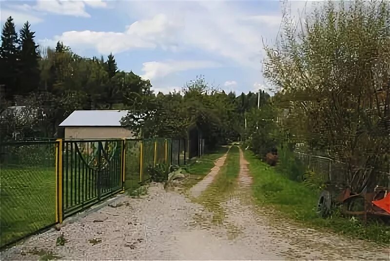 СНТ медик Смоленск. СНТ медик-Боткинец. СНТ медик Одинцовский район. Городской округ Чехов СНТ медик. Снт медик купить участок