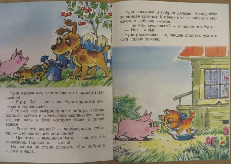 Чуня книга. Поросенок чуня. Сказку чуня. Поросенок чуня книга. Поросёнок чуня книжка.