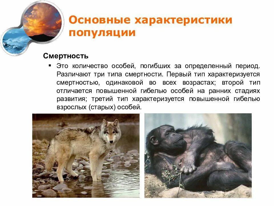 Гибель особей в популяции. Динамические показатели популяции в экологии. Смертность популяции это в экологии. Рождаемость и смертность популяции. Рождаемость популяции.