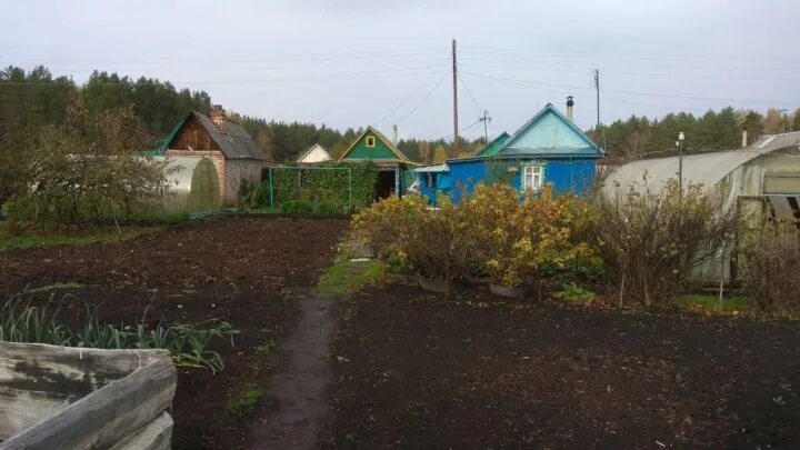 СНТ Рябинушка верхнее Дуброво. СНТ Рябинушка верхняя Пышма. СНТ фантазия верхняя Пышма. Березовский СНТ 33 Рябинушка уч.1. Снт рябинушка купить