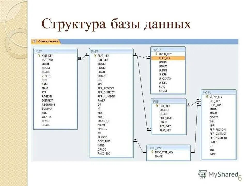 Что входит в бд