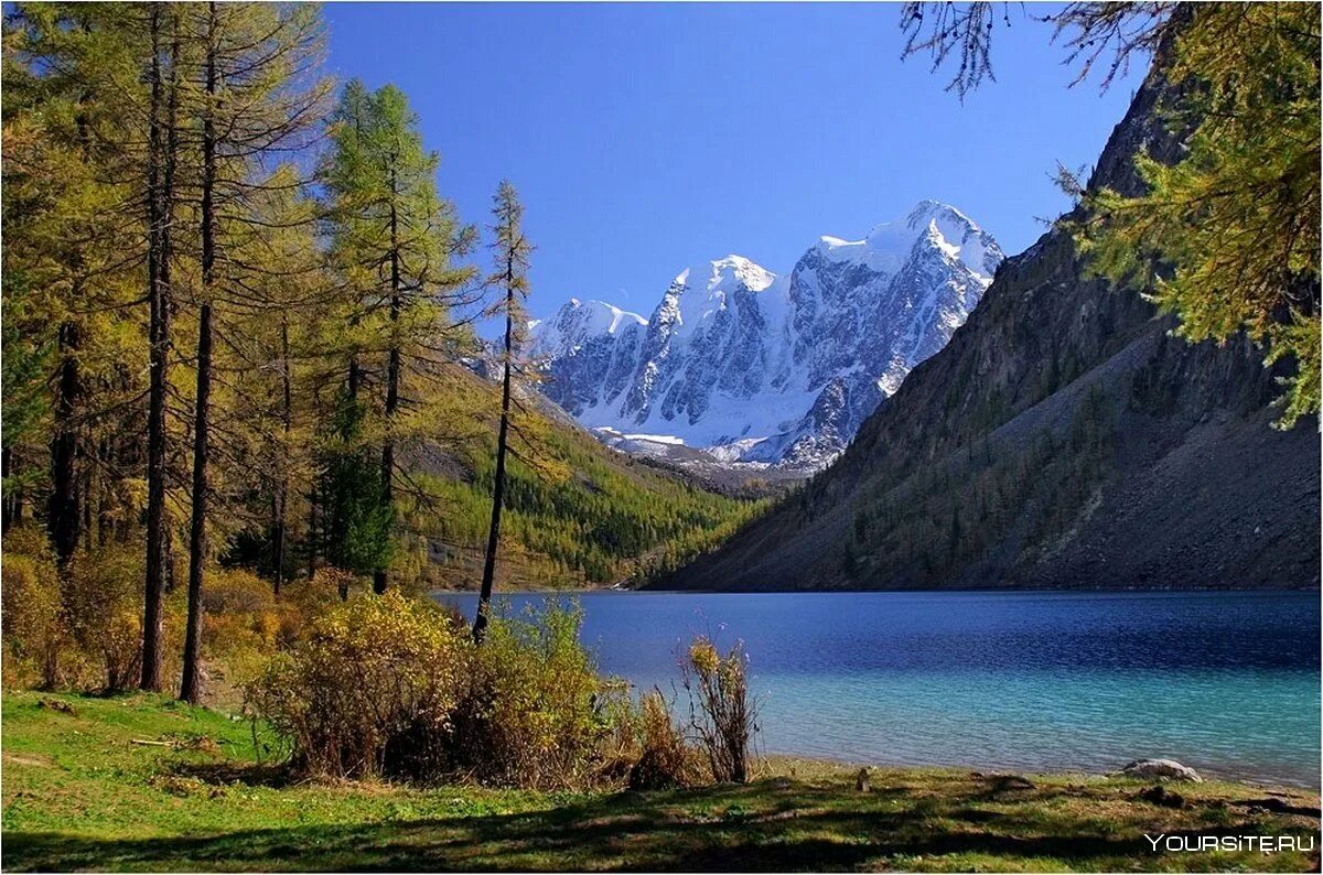 Горно Алтайск природа. Озеро ситр Алтай. Алтайский заповедник хребет торот. Алтай горный Алтай.