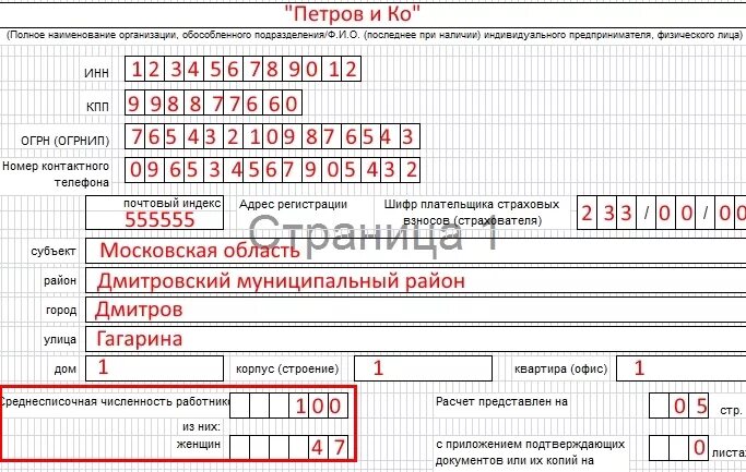 Среднесписочная численность фсс. Титульный лист формы формы 4-ФСС. Форма 4 ФСС. 4 ФСС титульный лист. 4 ФСС КНД.