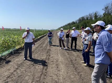Поселок селекция новости