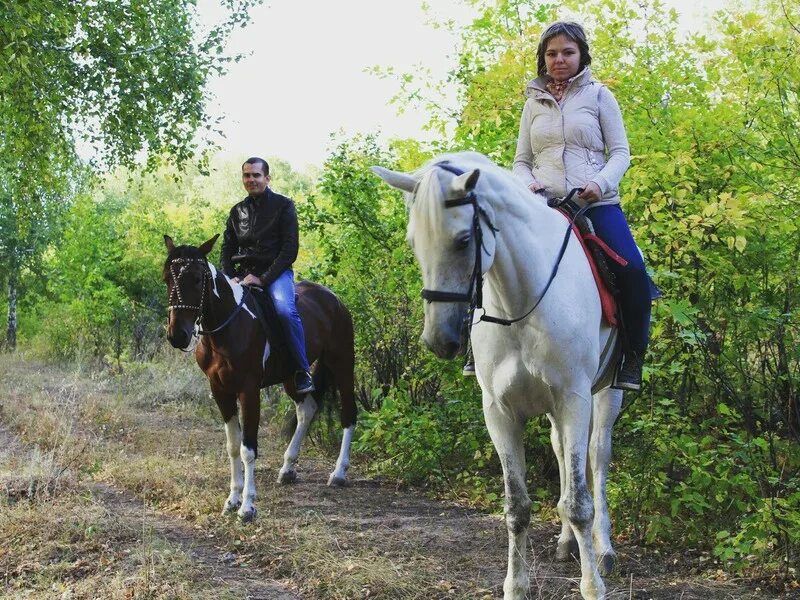 Золотые конюшни. КСК Золотая подкова. Конюшня Золотая подкова. Золотая подкова конный клуб. Саратов конюшня Золотая подкова.