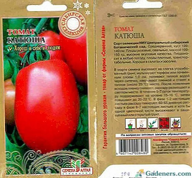 Катюша помидоры описание отзывы. Катюша помидоры описание отзывы. Томат катюша характеристика. Катюша помидоры описание отзывы. Катюша помидоры описание отзывы.