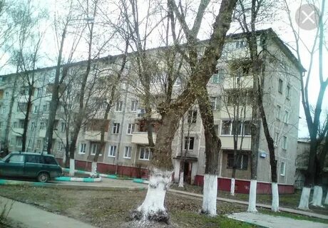 Ул кирова 37